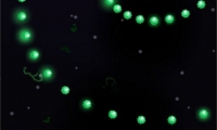 Vatn Squid