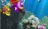 Fish Tales Deluxe 