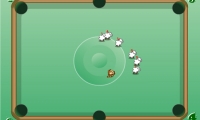Sheep Pool