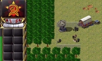 Command without Conquer: Stef Alert