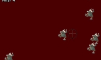 Terrorist escape