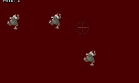 Terrorist escape