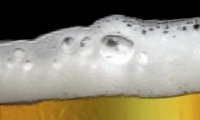 iBeer FREE