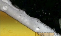 iBeer FREE