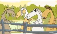 Singing Horses