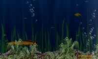 IAFish