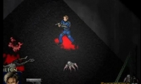 Resident Evil Racoon Madness