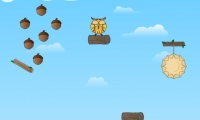 Cute Owl