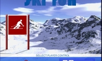 Ski Run
