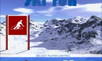 Ski Run