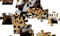 Jaguar Jigsaw Puzzle
