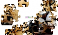 Jaguar Jigsaw Puzzle