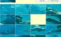 H2O Sliding Puzzle 2