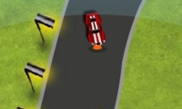 Viper Ferrari Racing 