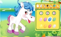 Unique Pet Pony
