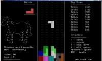 Tetris (TrSek)