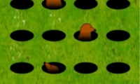 Poke A Mole
