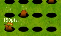 Poke A Mole