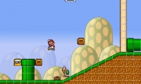 Super Mario Bros: Kill Bowser