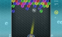 Bubblezoid