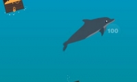 Splashdown