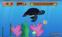 Tuga The Sea Turtle 