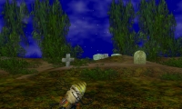 Forbidden Forest