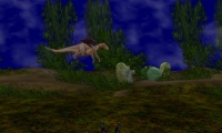 Forbidden Forest