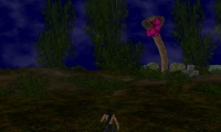 Forbidden Forest