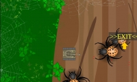 Spiders attack