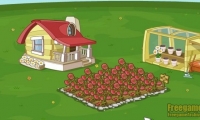 BLOOM TOWN