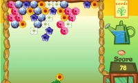 Flower Power Funny Games