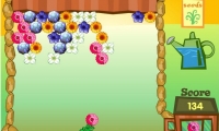 Flower Power Funny Games
