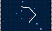 Snake N