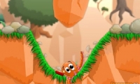 Squidy