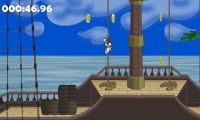 James the Pirate Zebra
