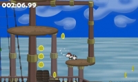 James the Pirate Zebra