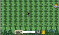 Pot Farm