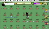 Pot Farm