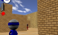 Ninja vs. Ninja