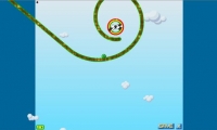 Rolling Turtle