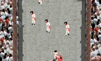 Running With the Bulls