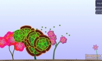 Seed
