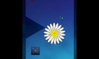 Ball Revamped 5: Synergy