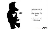 Optical Illusions