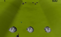 Snails