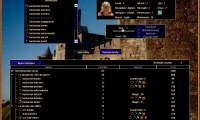 Fantasy Battlefields