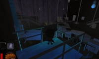 Ghost in the Attic