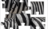 Jigsaw: Zebra Stripes