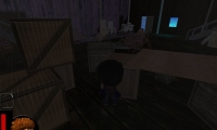 Ghost in the Attic